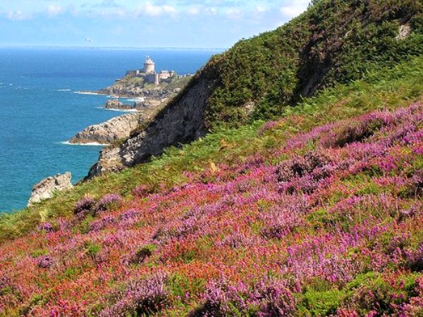  Cap Frehel en Cotes d'Armor en France