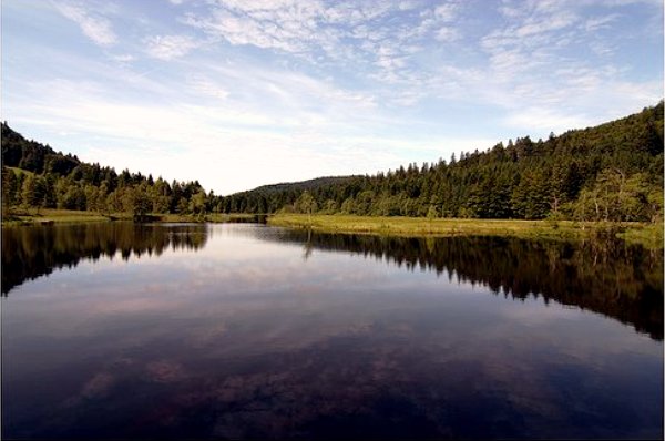Lac du Lispach (Vosges) France